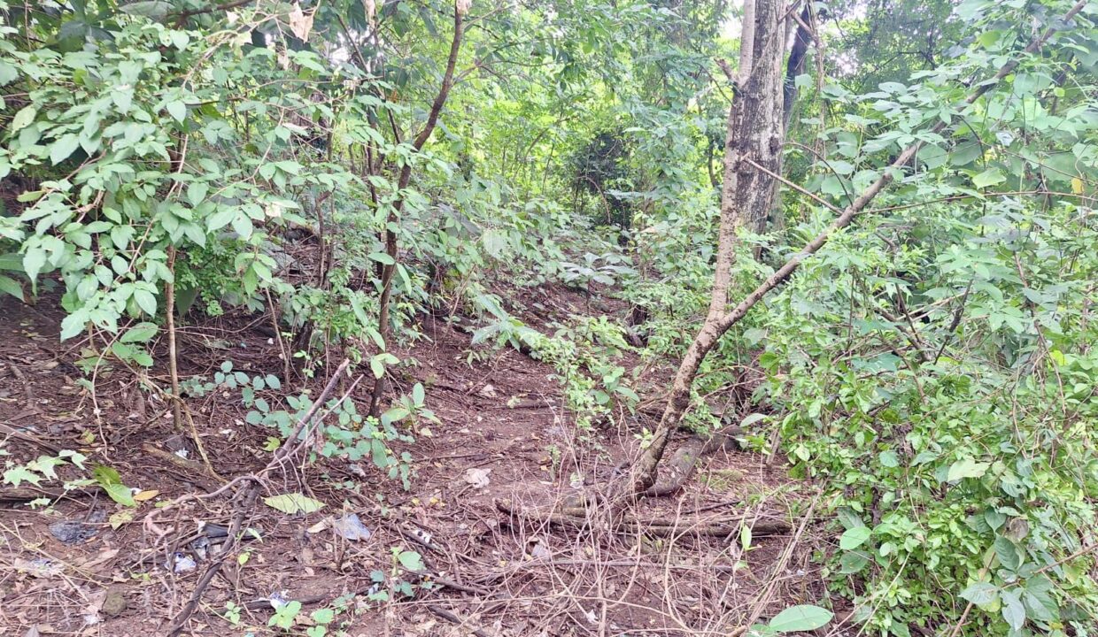 35f446fa-ffbe-412a-9f3b-bfe60e72298b