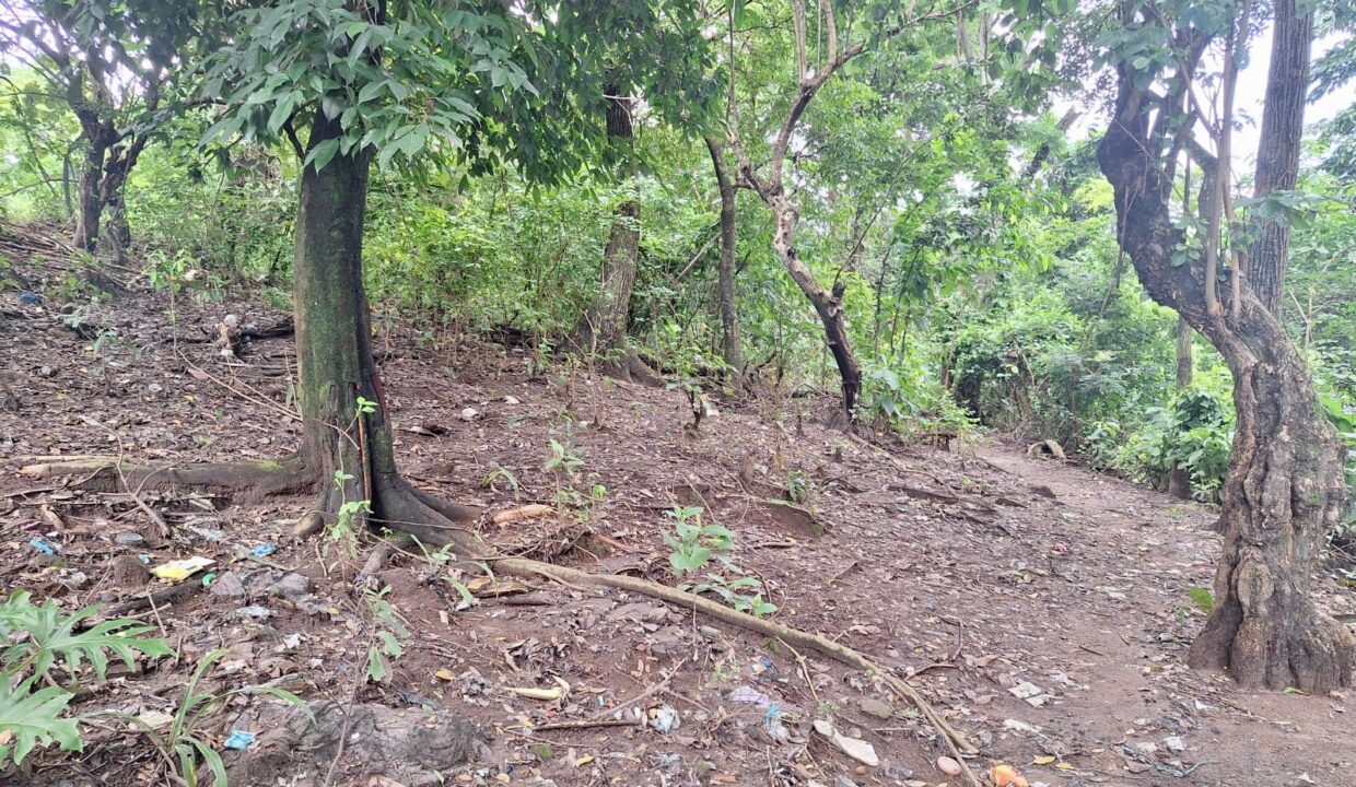 500c065d-bfff-48b0-9f45-f605487d21e7