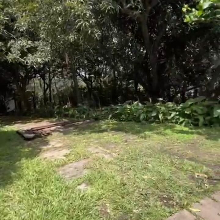 61d33c65-f381-4c0d-92e4-c6436c85f786