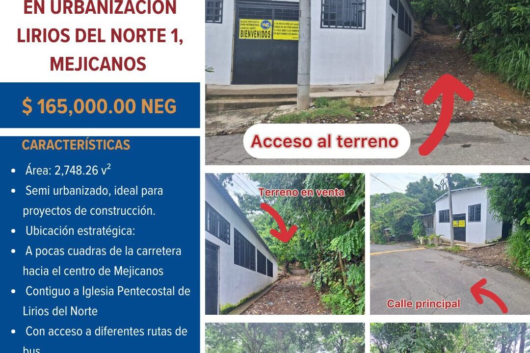 69e0237e-f704-409b-a7aa-141f1ce2f14e