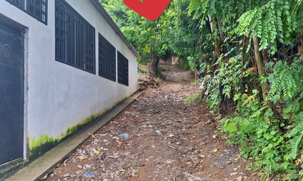 88f63e8f-e33e-4a0e-a981-36d5c8059249