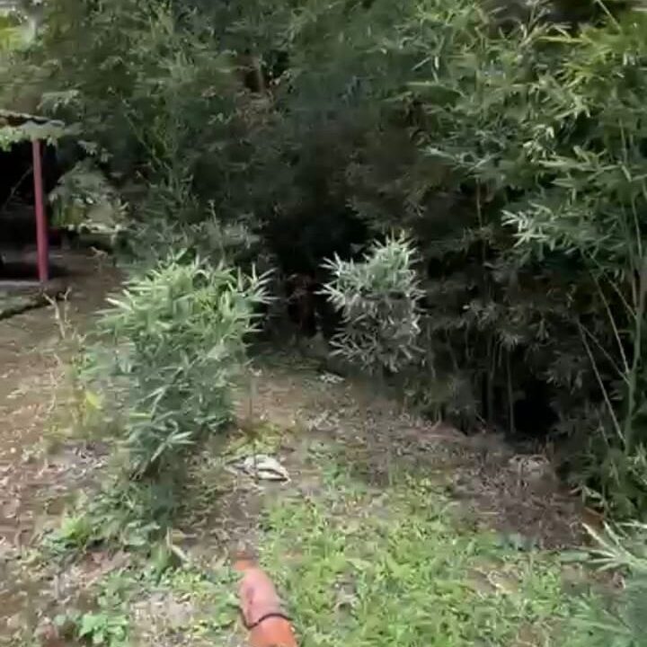 9009c0c9-9159-4705-8523-bd449b4c09a8