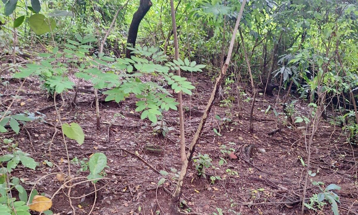 9617cf0f-f598-41fd-b59d-e623475abf5e