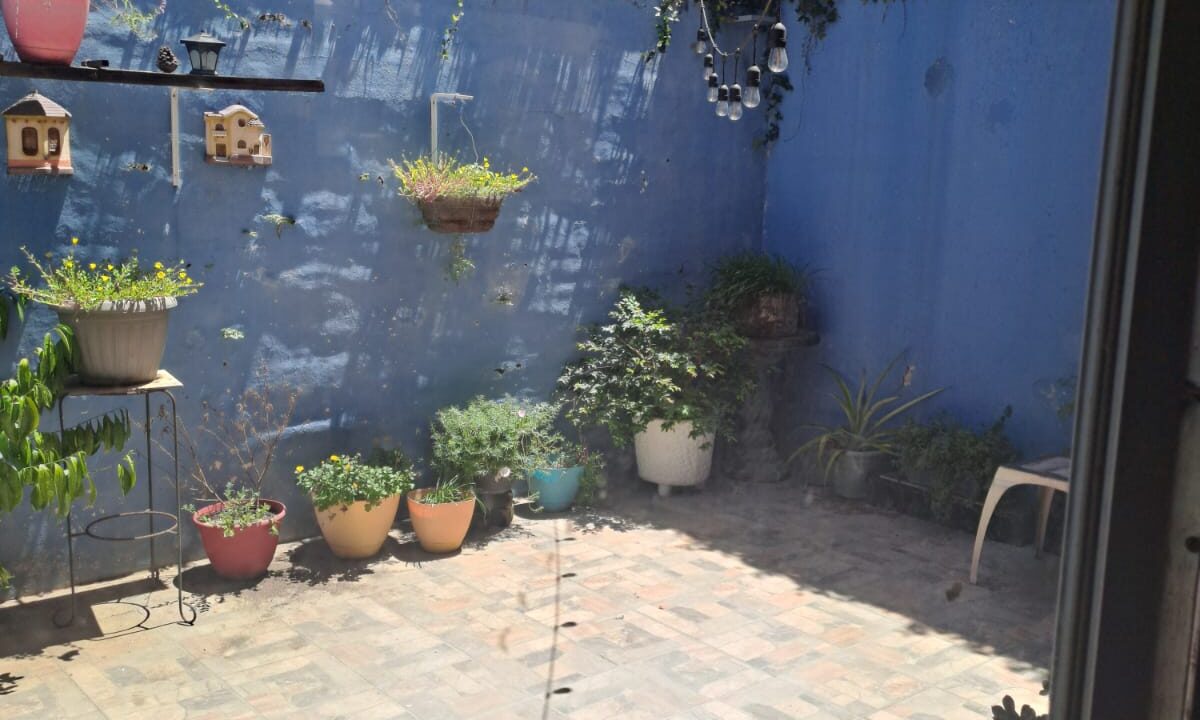 WhatsApp Image 2025-08-26 at 1.42.20 PM