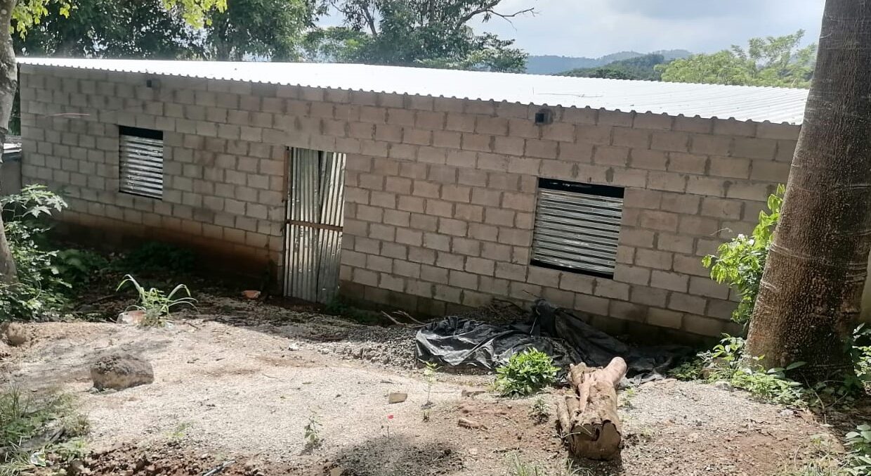 WhatsApp Image 2025-10-17 at 12.38.39 PM