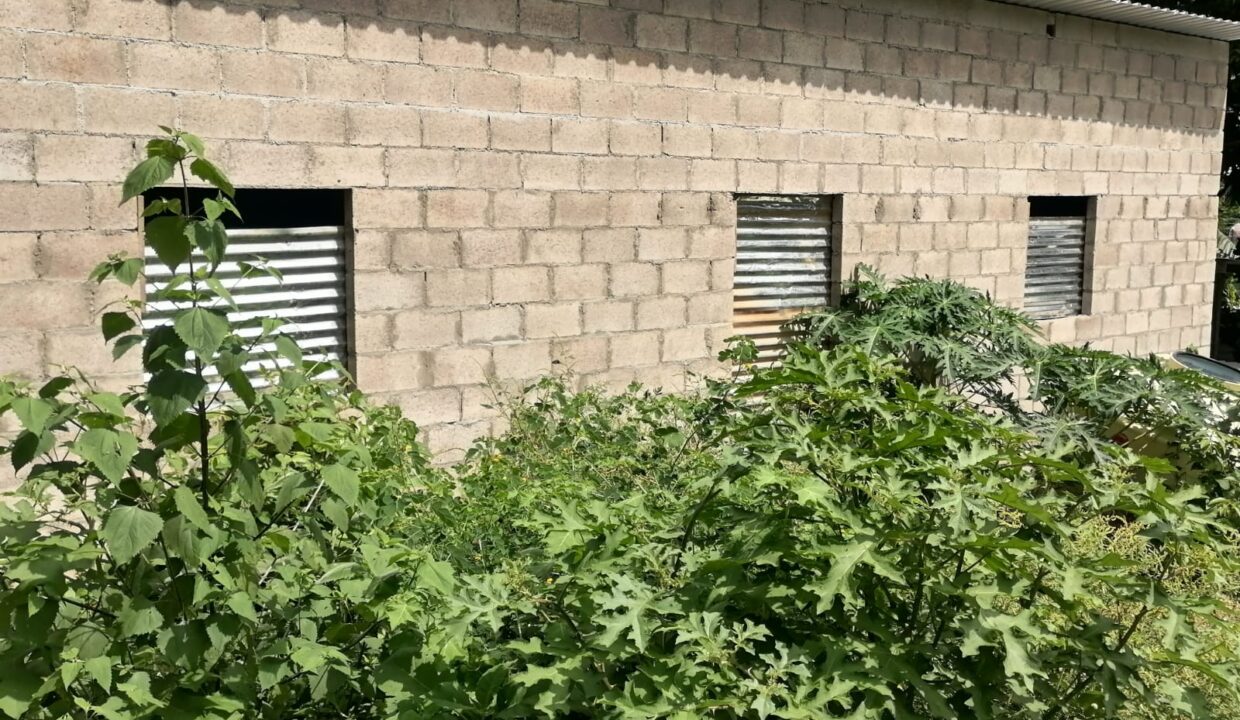 WhatsApp Image 2025-10-17 at 12.38.40 PM