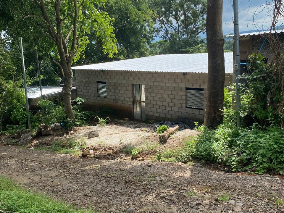 WhatsApp Image 2025-10-17 at 12.38.43 PM (1)