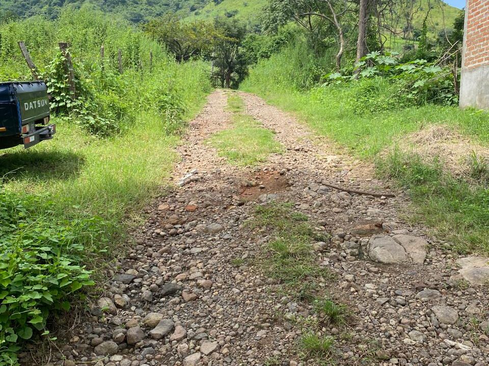 WhatsApp Image 2025-10-17 at 12.38.43 PM (3)