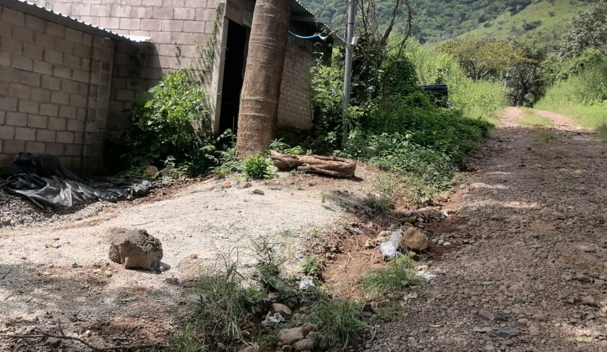 WhatsApp Image 2025-10-17 at 12.38.46 PM