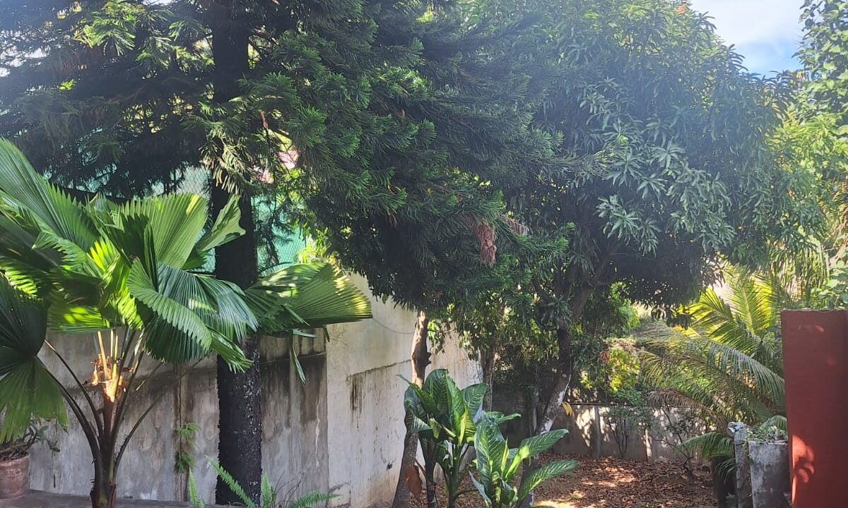 WhatsApp Image 2025-12-17 at 4.40.43 PM (1)