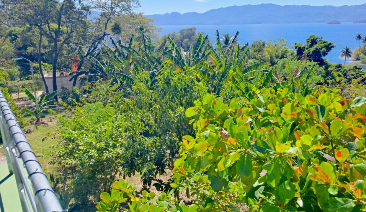 WhatsApp Image 2026-01-24 at 10.59.34 AM (3)