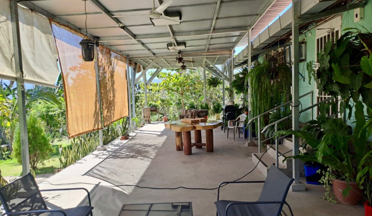 WhatsApp Image 2026-01-24 at 10.59.35 AM (5)