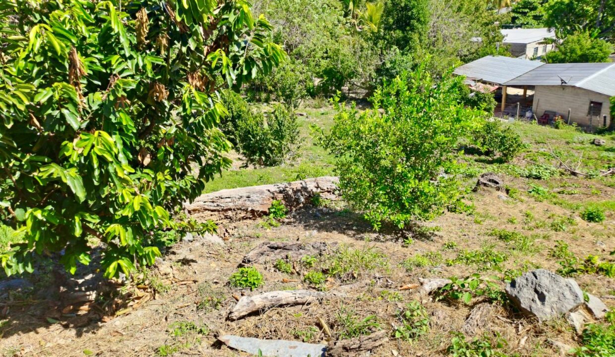 WhatsApp Image 2026-01-24 at 10.59.35 AM (6)