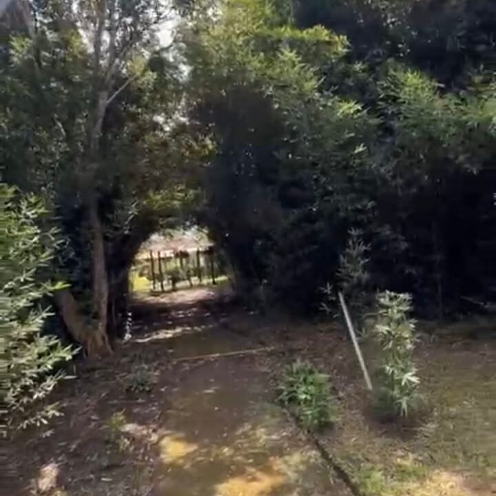 a514af1f-aa54-406f-99d4-e31f303a87cf