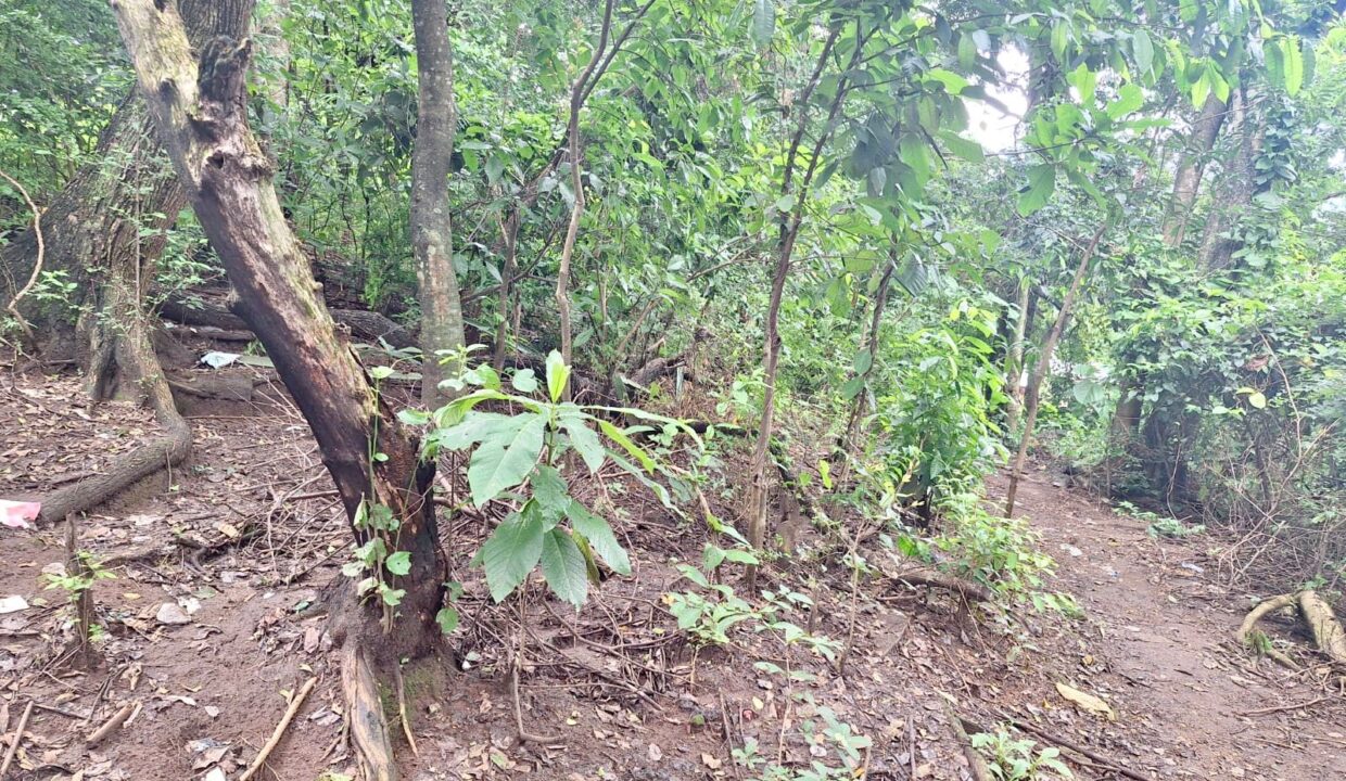 bbe6ea42-7393-4e63-aa4b-98d6a51f2585