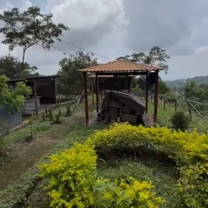 dfdaad8e-e7cb-446b-b513-12d0a65027e3