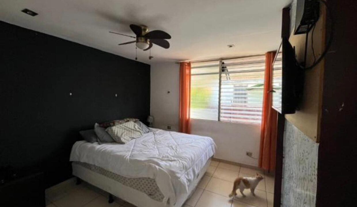 e91fa8b3-c304-45a5-9541-4921dcacb68b